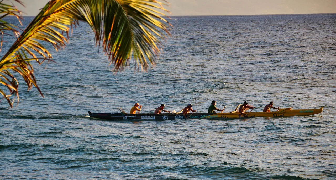 canoe, hawaii, nature, sea, boat, outrigger canoe