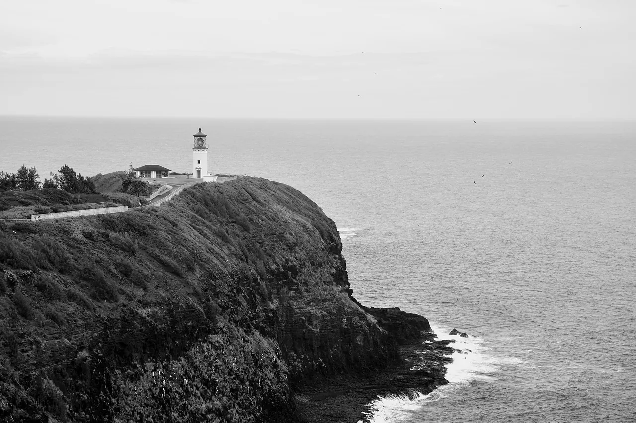 lighthouse, sea, hill, black and white, outlook, hawaii, nature, black and white, black and white, black and white, black and white, black and white